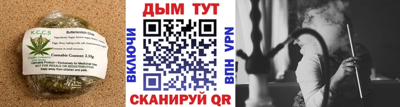 дарнет шоп  Приволжск  Cannafood марихуана 