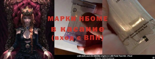 твердый Арсеньев
