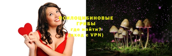 твердый Арсеньев