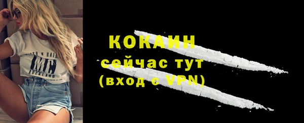 твердый Арсеньев