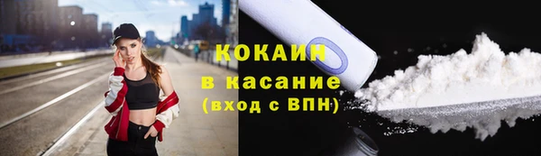 твердый Арсеньев