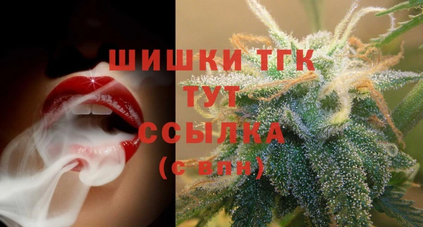 твердый Арсеньев