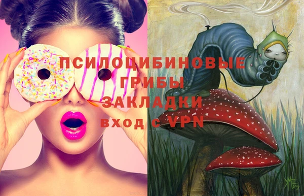 твердый Арсеньев